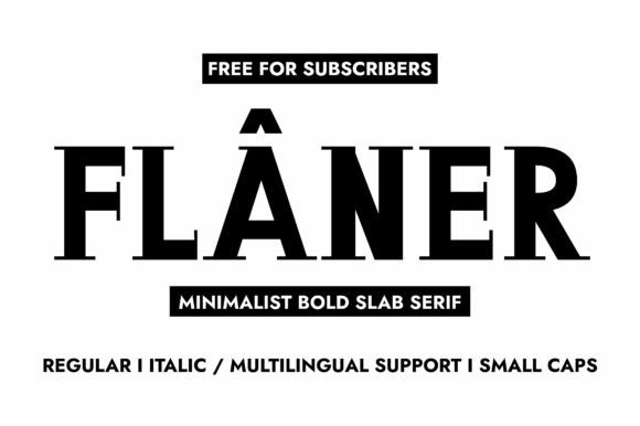 Flaner Font Review for Modern Campaign Design