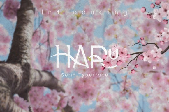 Haru Font: A Modern Slab Serif for Digital Campaigns