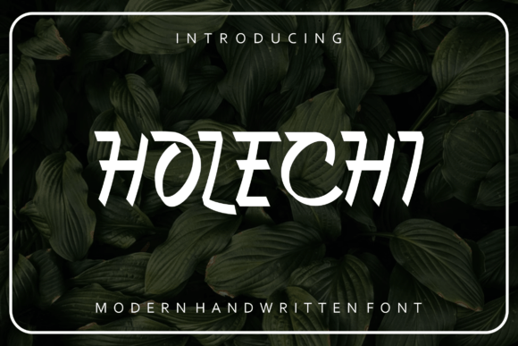 Holechi: A Slab Serif Font for Brand Growth