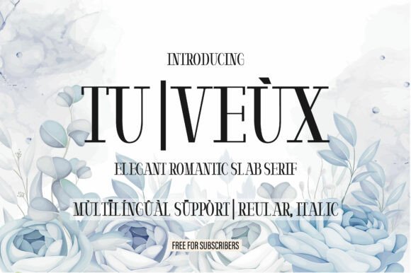 Tu Veùx: The Romantic Slab Serif Typeface for Digital Impact